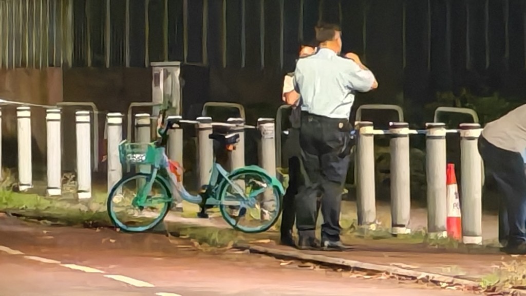 元朗9月20日狗疑咬死人事件, 警方事後到場調查 (資料圖片)