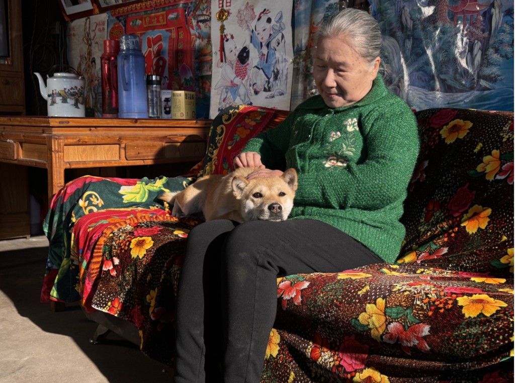 《小狗來福》首次擔正做主角。 《小狗來福》首次擔正做主角。