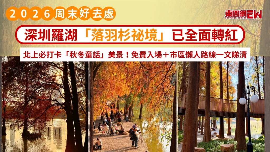 周末好去處2026｜深圳羅湖「落羽杉祕境」已全面轉紅 北上必打卡「秋冬童話」美景！免費入場＋市區懶人路線一文睇清
