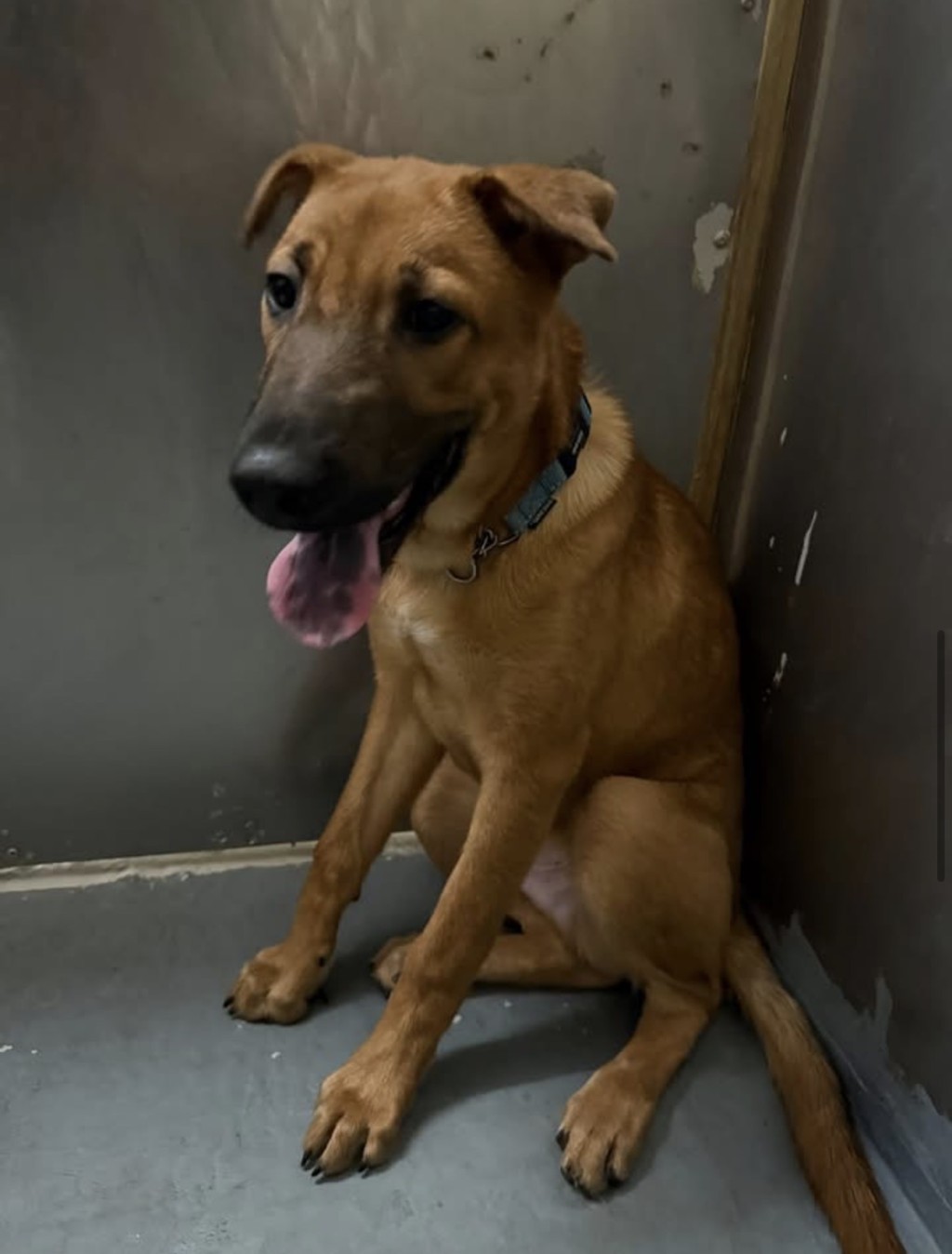 烏咀被棄山邊後有少許心理陰影，坐下時雙手抖震。