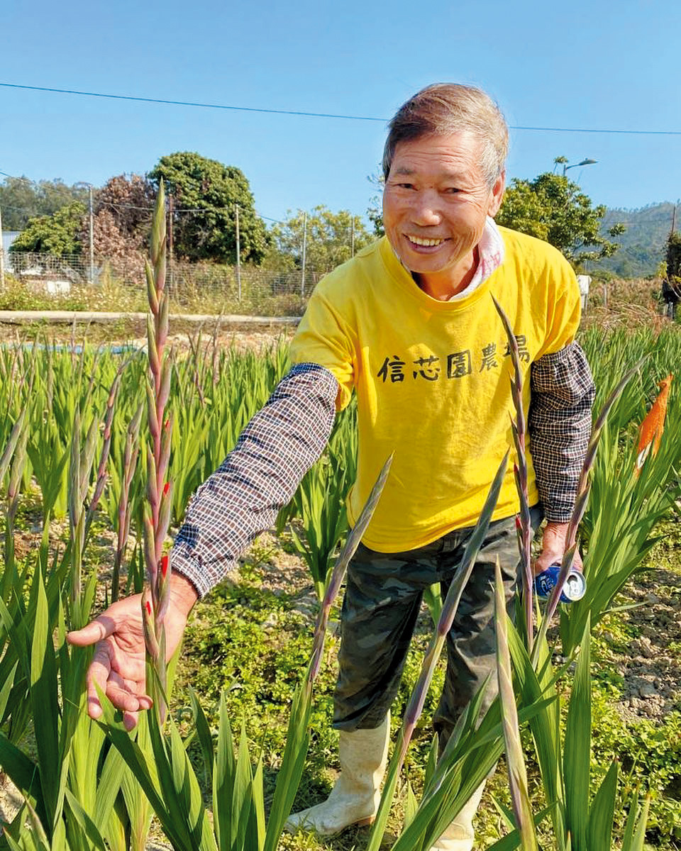 信哥打理農場幾十年,為了重開信芯園,親自學寫改劃申請書。 信哥打理農場幾十年,為了重開信芯園,親自學寫改劃申請書。