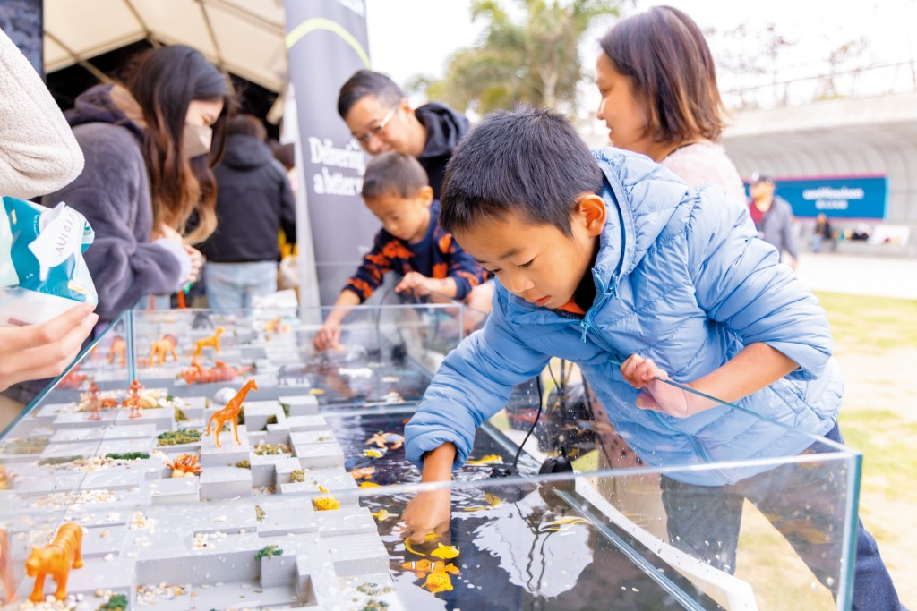 在嘉年華場內，設有多個互動遊戲供入場人士耍樂。