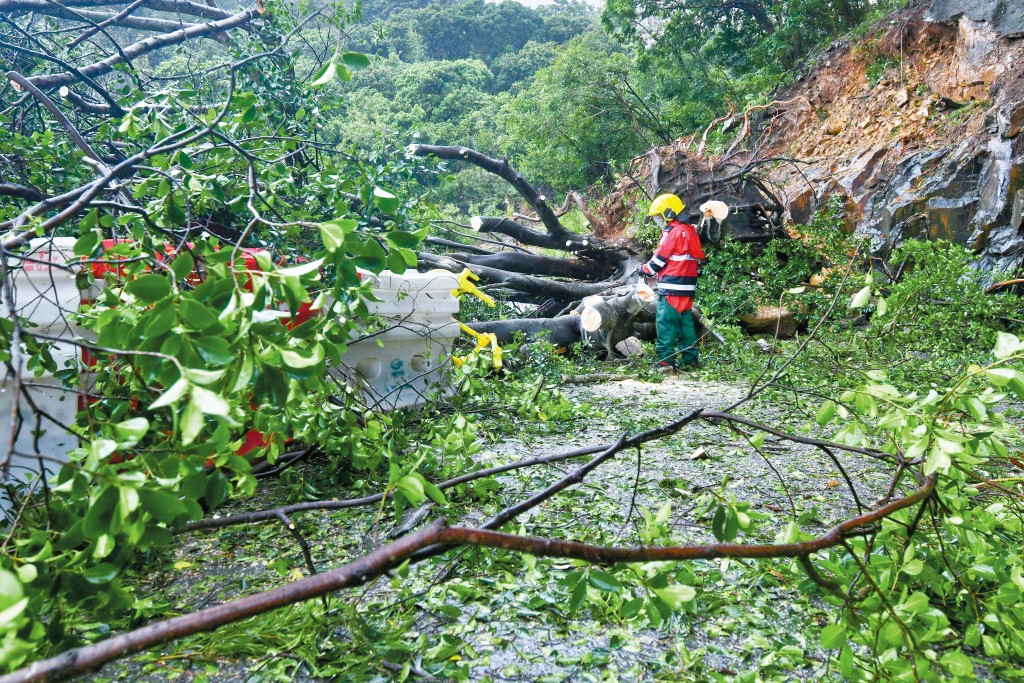 天文台在二○二五年共發出十四次熱帶氣旋警告信號，其中兩次為十號颶風信號。