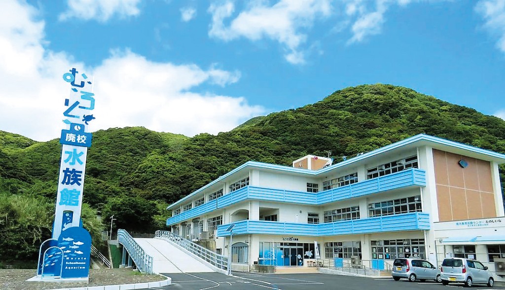舊椎名小學改建成的「戰艦廢校海洋館」,最大特色是將泳池變身為飼養海龜和鯊魚等海洋動物的巨型水池。 舊椎名小學改建成的「戰艦廢校海洋館」,最大特色是將泳池變身為飼養海龜和鯊魚等海洋動物的巨型水池。