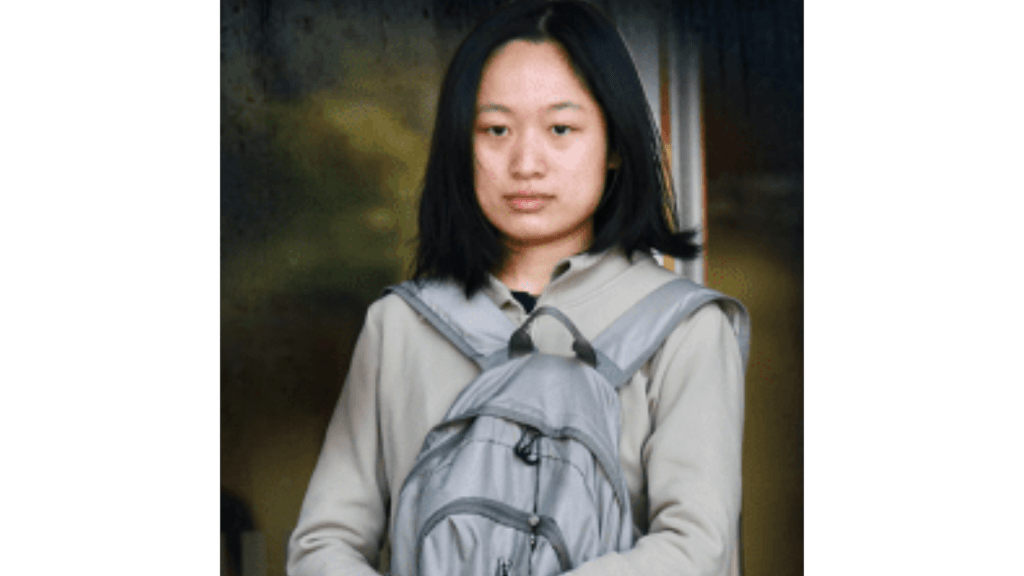 報稱居住內地福建的22歲女學生黃鑫怡，承認一項企圖以欺騙手段取得服務罪。