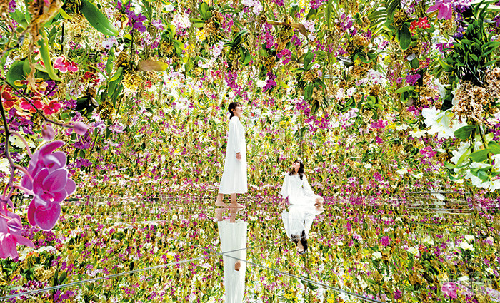 新展品「漂浮的花園」由8,000朵新鮮蘭花組成，展出的鏡房內瀰漫花草芳香，隨着花朵不斷升降，花園形態會不斷改變。