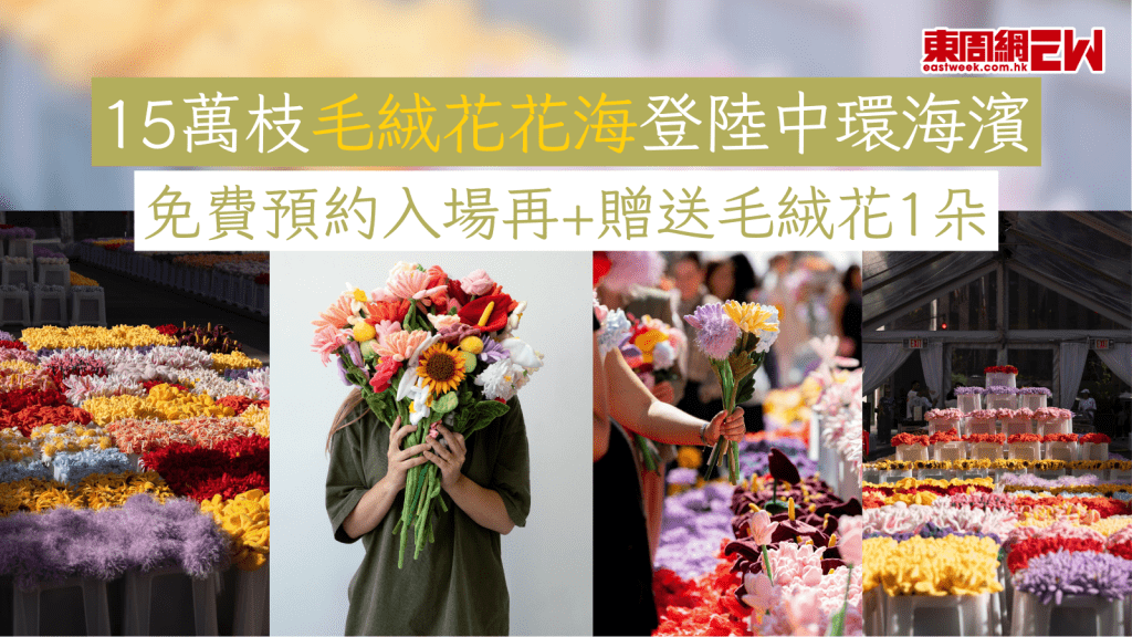 15萬枝毛絨花花海登陸中環海濱 免費預約入場再+贈送毛絨花1朵