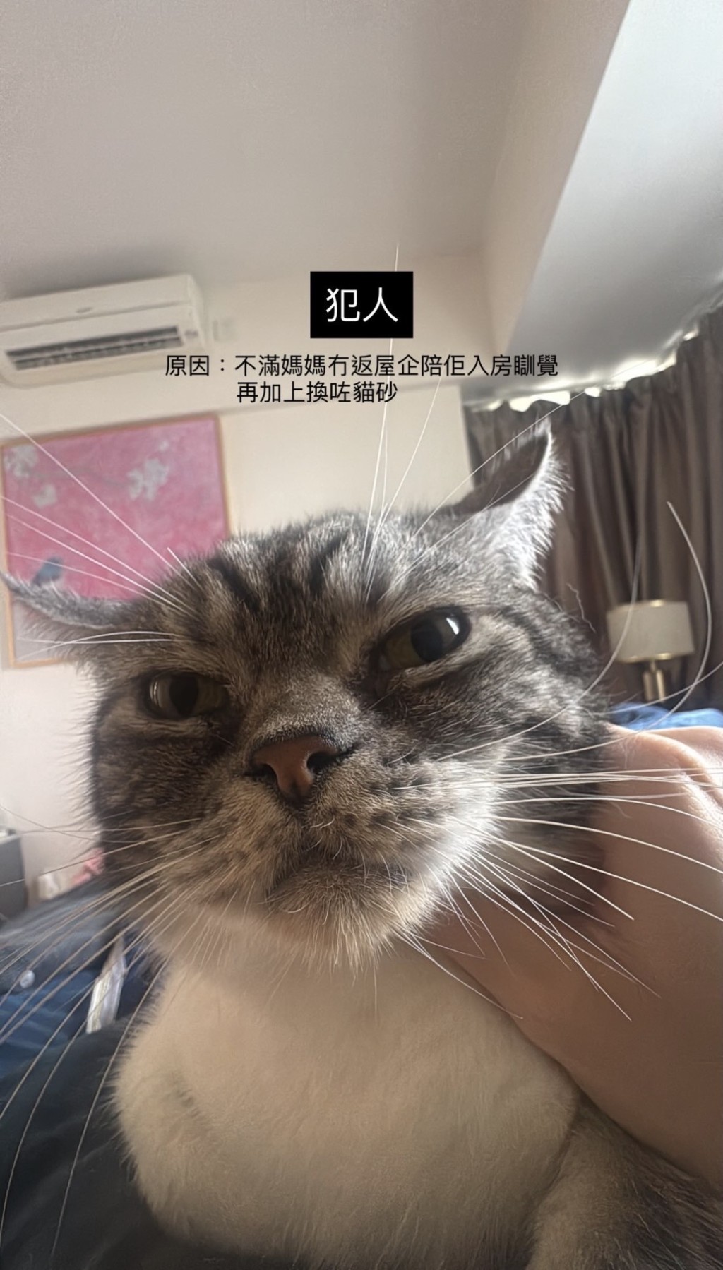 厲害呀,小虎! 厲害呀,小虎!