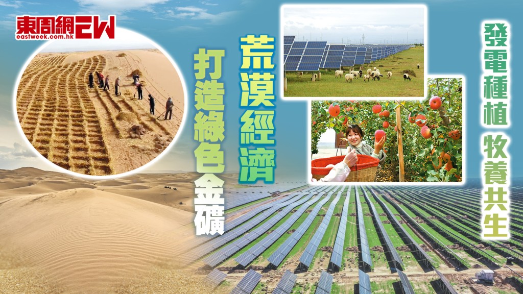 荒漠經濟︱發電種植 牧養共生 打造綠色金礦︱國際解碼