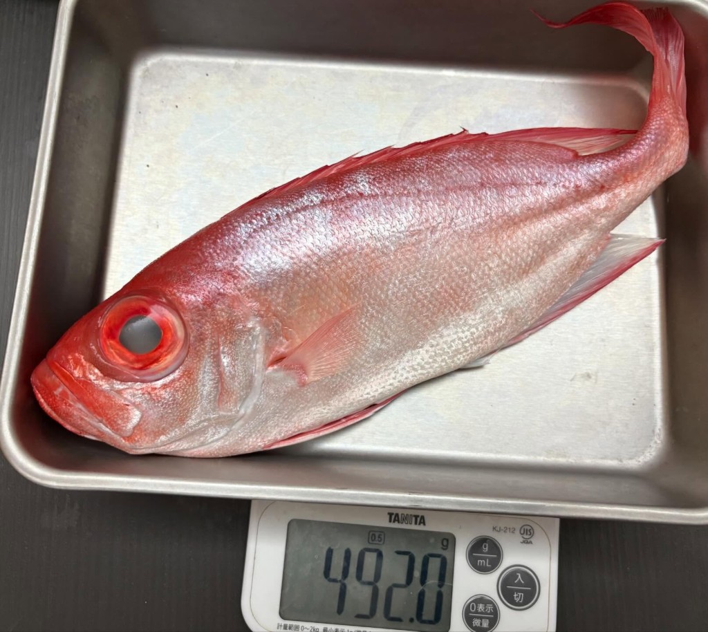 事主在魚檔購買了一條「大眼雞」，魚檔報稱魚重14両，收取140元。