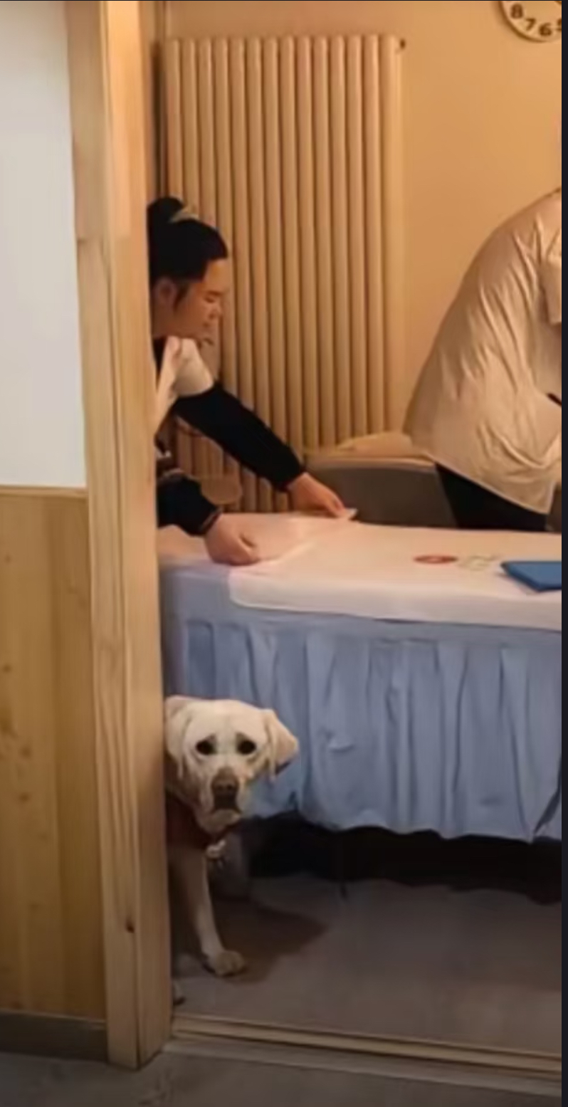 盲人夫婦疑是按摩師。陪上班的芬迪表情苦到呢... 盲人夫婦疑是按摩師。陪上班的芬迪表情苦到呢...