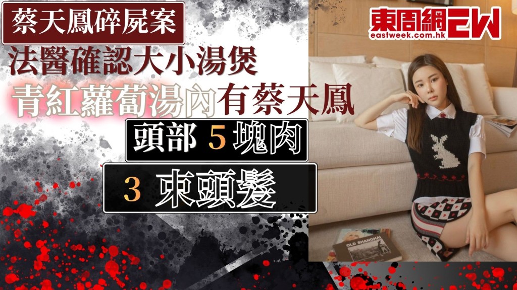 28歲名媛蔡天鳳（Abby Choi）2023年2月疑遭殺害後碎屍肢解，蔡天鳳前夫鄺港智、前家翁鄺球、前夫兄長鄺港傑被控謀殺及阻止合法埋葬屍體罪，案件踏入第9日審訊，控方繼續讀出承認事實指，警方在事發後3日於龍尾村單位內，發現蔡天鳳的身體殘肢，兩煲「青紅蘿蔔湯」內有蔡天鳳被砍斷的頭部、5塊肉塊及3束頭髮。內有切碎紅蘿蔔塊的黑色膠袋外底部有血跡。