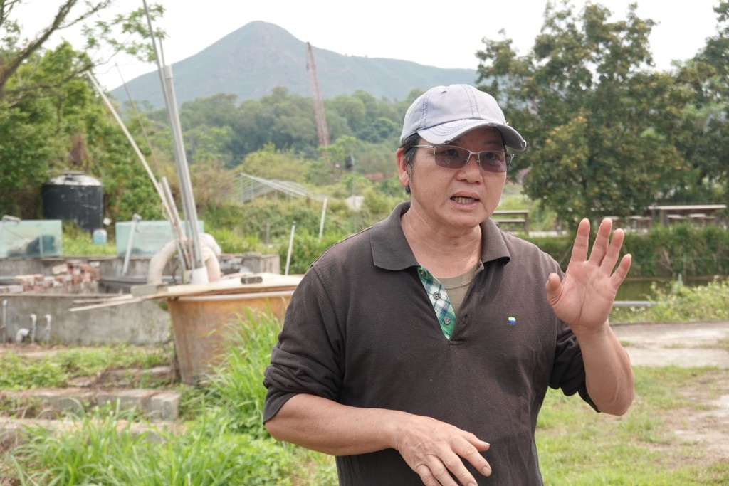 鴻日農莊主理人黃展明表示,得到美心集團支持,悉數購入農莊的農產品,投產農地面積從 2022 年約四萬平方呎, 增至最新的約七萬平方呎,從而可以再種植更多再生農產品,開始穩定的優質農產品供應。