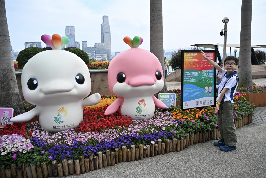 文體旅局指，申辦奧運屬國家行為，政府現階段會專注辦好全運會的工作