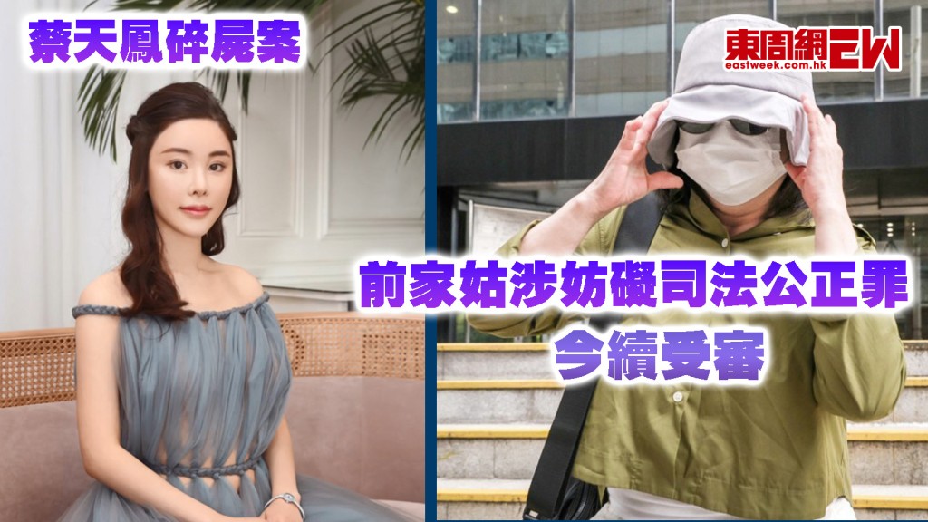 蔡天鳳碎屍案|前家姑今續受審 閉路電視片段證蔡失蹤當日 曾帶人到加多利山住所「睇樓」
