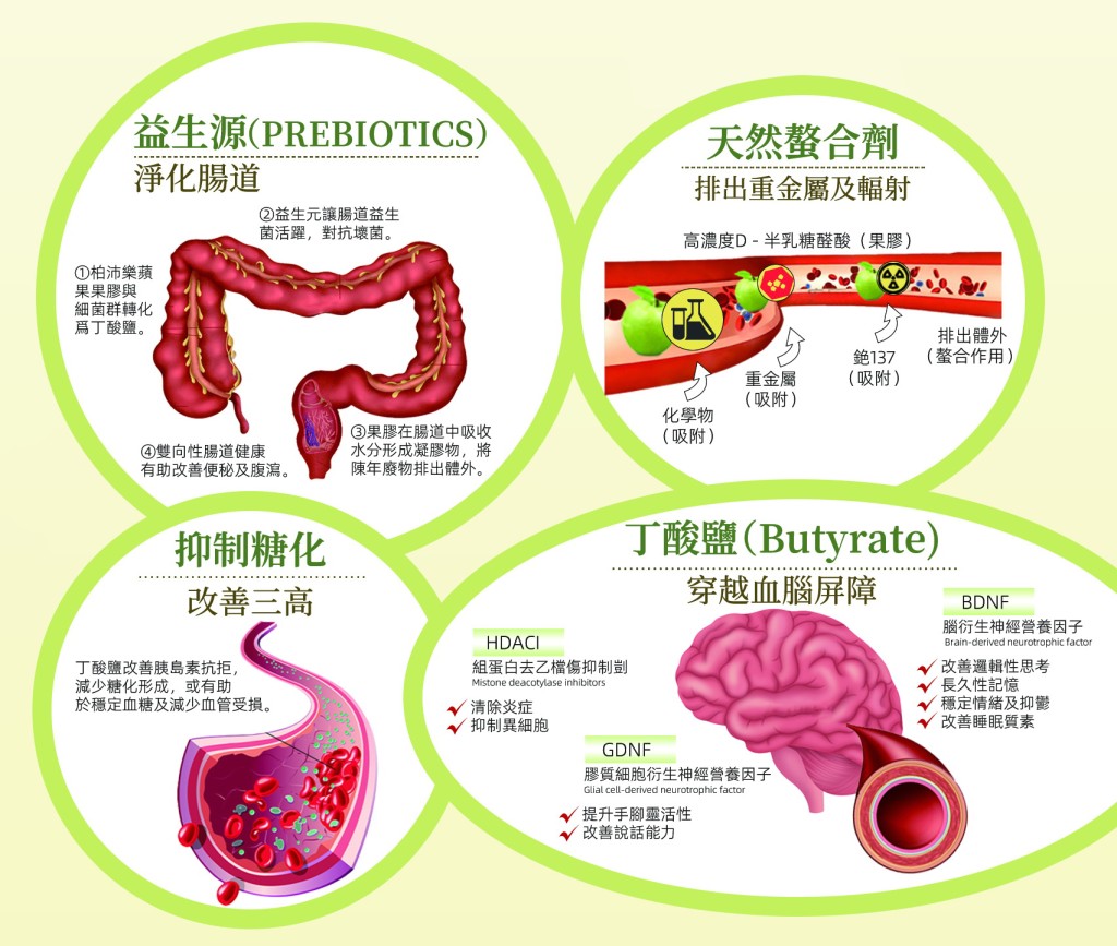 柏沛樂蘋果果膠獨有排毒功效，能讓您排除輻射及重金屬、腸道淨化、保持心血管健康、關注血糖及減肥等。