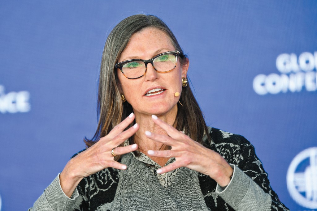 不少大戶支持馬斯克，包括持有特斯拉股票的方舟投資創辦人Cathie Wood。