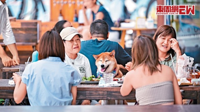 狗狗年中就可以光明正大入室內食肆啦！