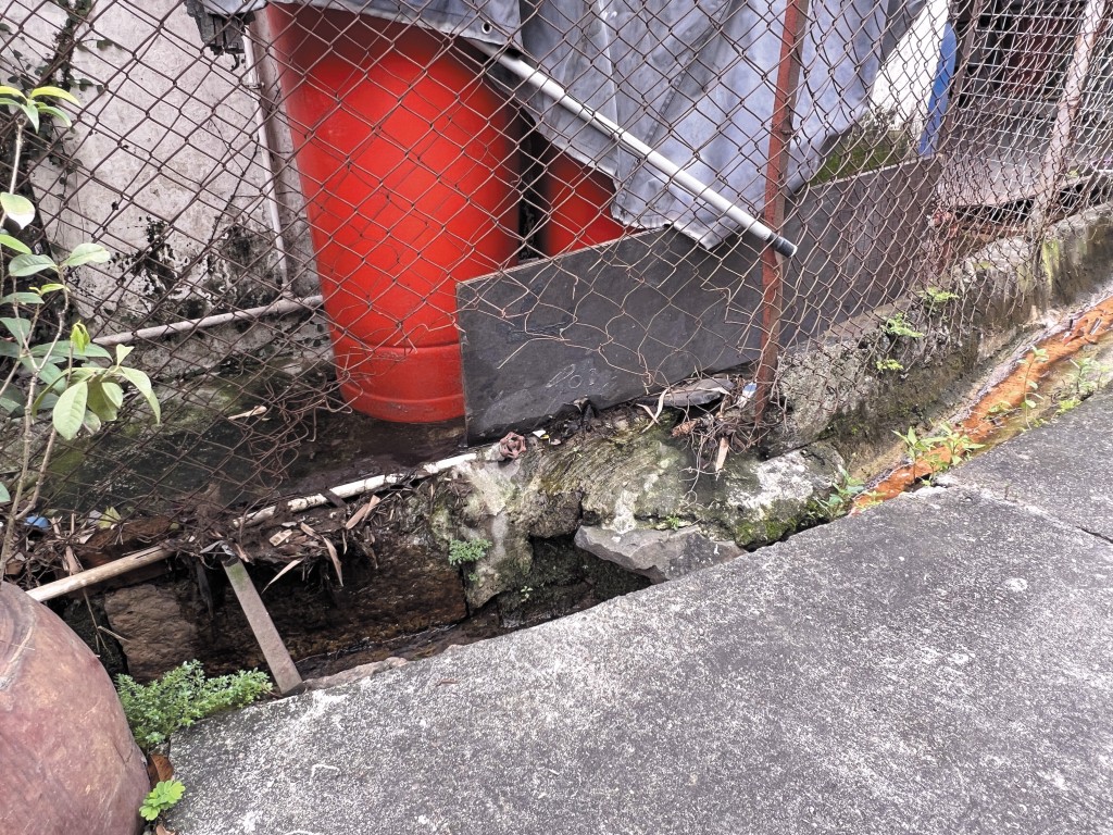 據知「拉里」是掘洞或弄穿鐵絲網從住所偷跑，最終釀成咬斃兩犬悲劇。