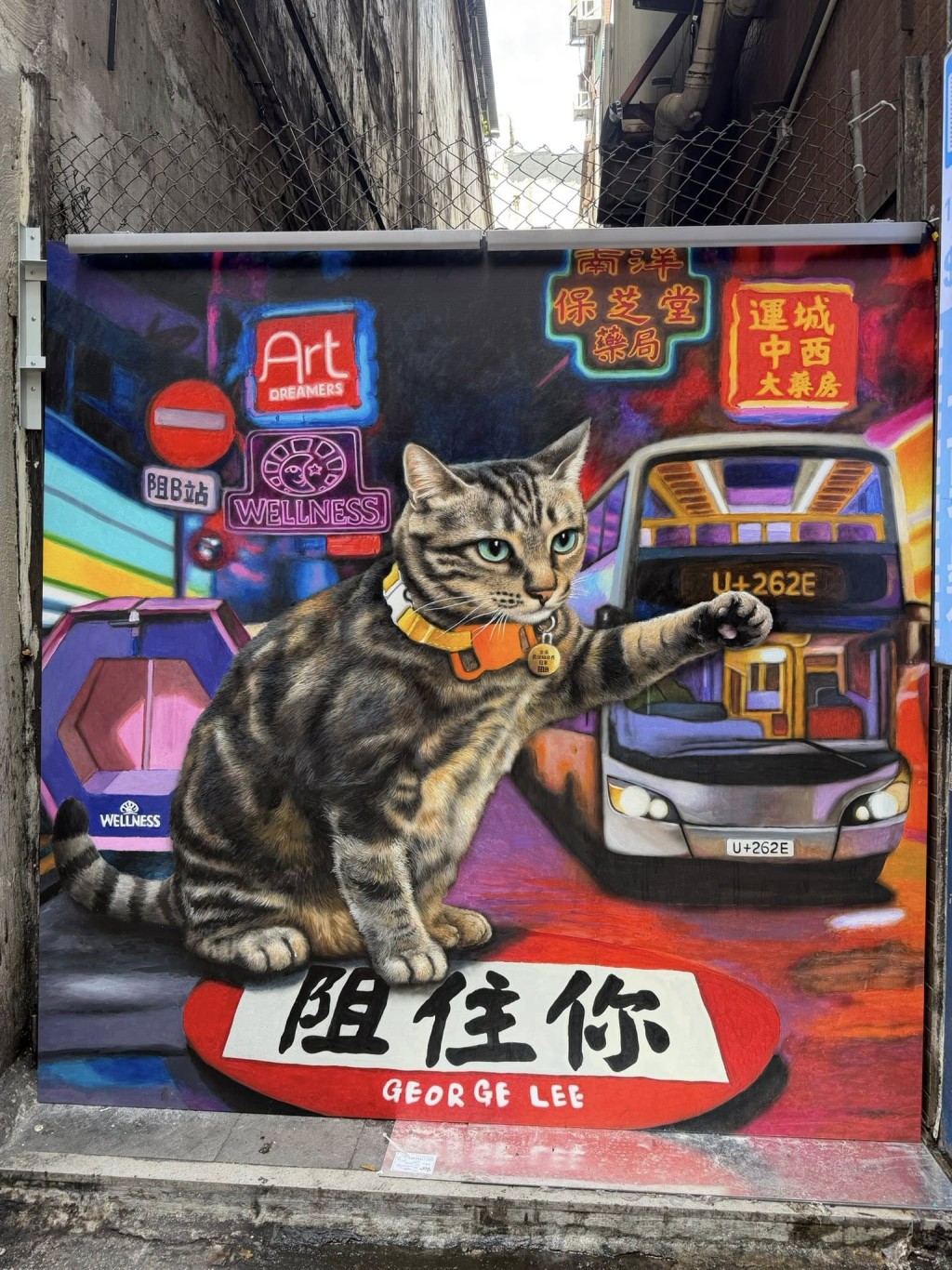 阻B等緊大家來打卡。 阻B等緊大家來打卡。