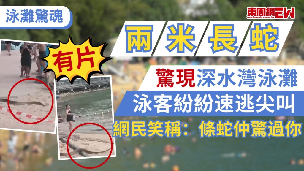 周日（21日）中午深水灣泳灘有巨蛇出沒，網上流出影片顯示，一條約2米長蛇在沙灘上游走，泳客見狀都驚惶失措，尖叫聲四起，紛紛走避，警方及消防員及後到場並與救生員在場戒備，大蛇不斷竄逃，最後直奔海邊，游進海中失去影蹤。