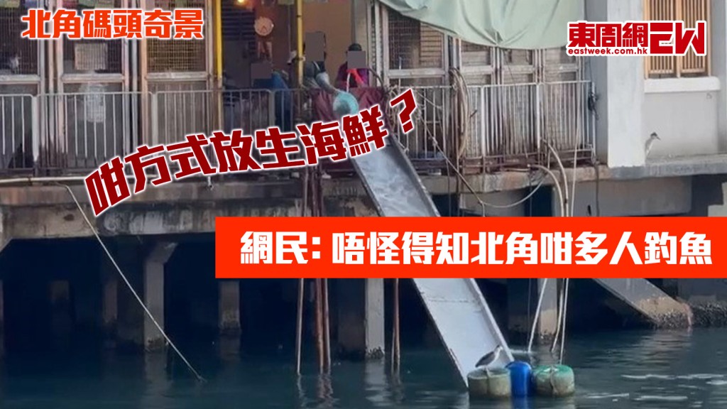 北角碼頭奇景｜咁方式放生海鮮？ 網民﹕唔怪得知北角咁多人釣魚