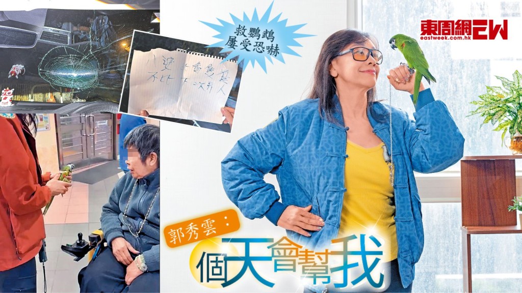 郭秀雲救鸚鵡屢受恐嚇：個天會幫我