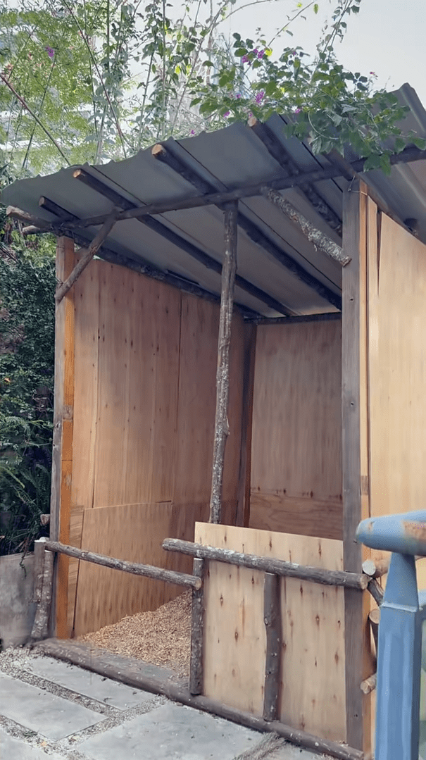 商家指養小馬只需幾平方米的小馬房，加個遮雨棚就行。