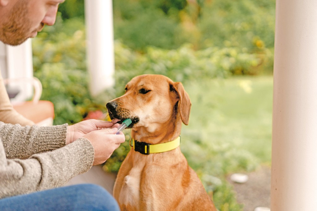 美國部分城市已強制狗主登記其愛犬的DNA，這可從狗屎找到主人予以檢控。