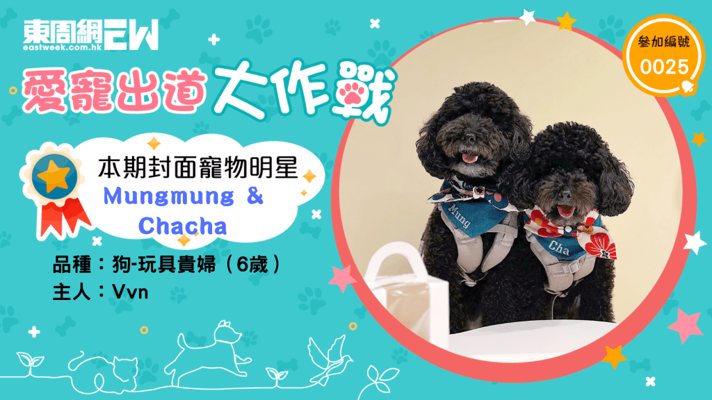 本期封面小明星Mungmung&Chacha