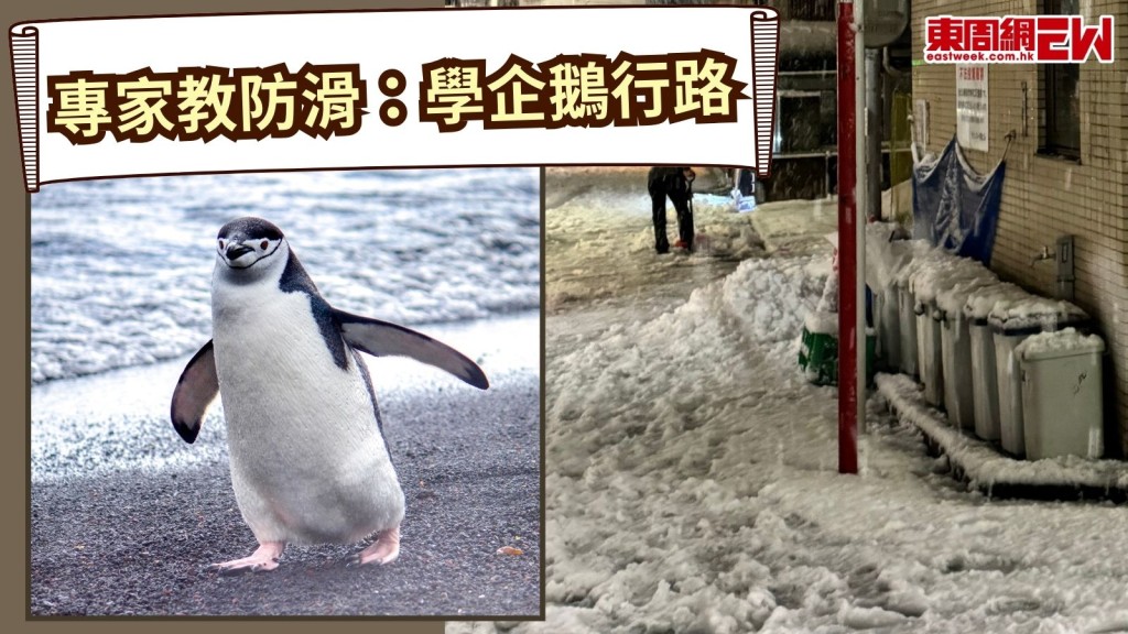 日本直擊︱遊日注意！日本降警報級大雪　學企鵝行路防滑自保！