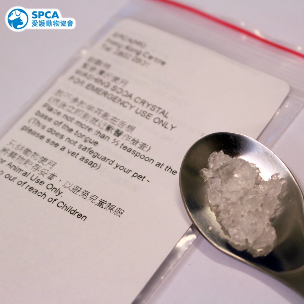 香港愛護動物協會各區中心都有「梳打粒」派發，但數量有限，家長前往領取時，建議先致電中心查詢「梳打粒」數量。 