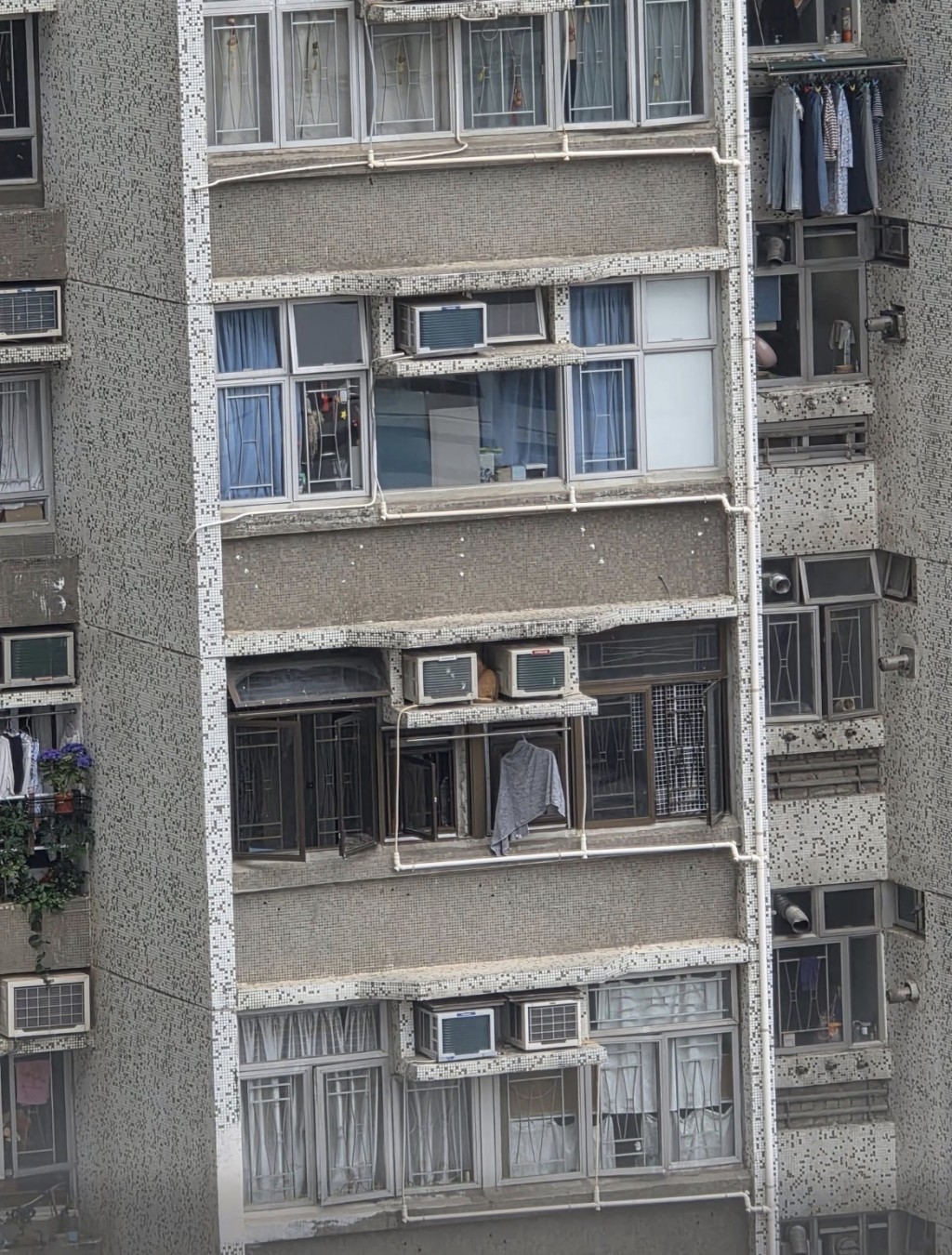 今早約10時有大埔德雅苑網民發現貓咪危坐室外冷氣機位置。