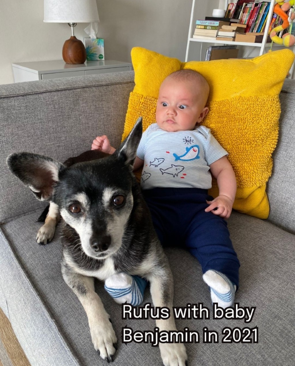 Rufus在世時與家中小主人合照。 Rufus在世時與家中小主人合照。