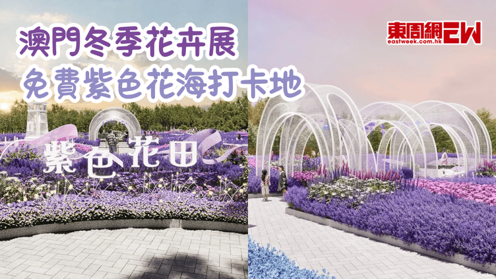 澳門冬季花卉展2025 ｜免費紫色花海 澳門冬日絕美打卡地