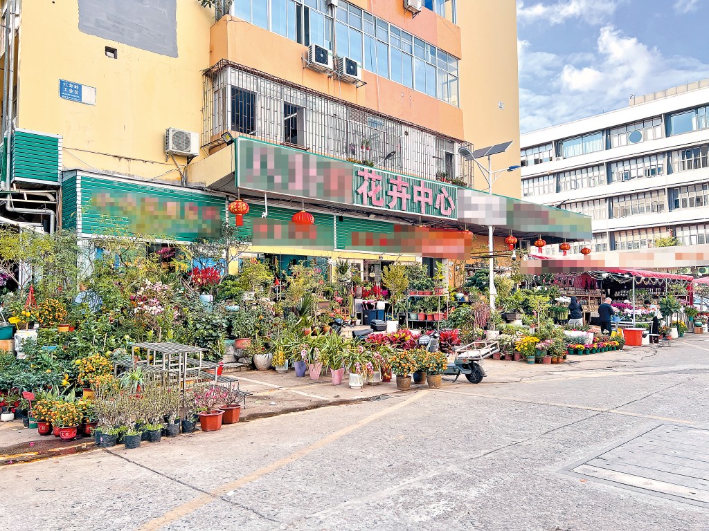 深圳花卉市場的蘭花價錢，較本地便宜，更提供一條龍送貨服務。