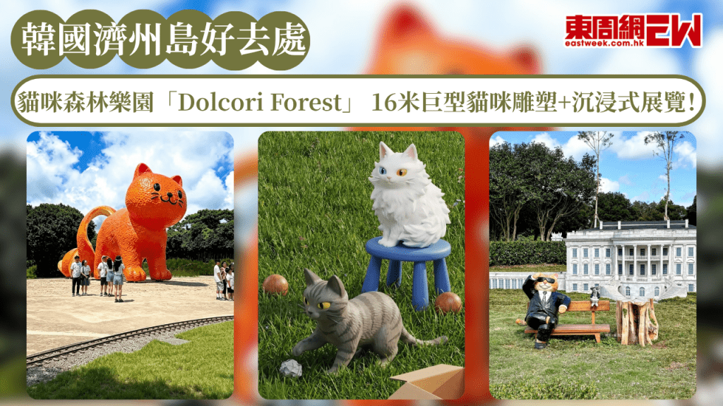 韓國濟州島好去處2026｜貓咪森林樂園「Dolcori Forest(돌코리숲)」 16米巨型貓咪雕塑+沉浸式展覽！