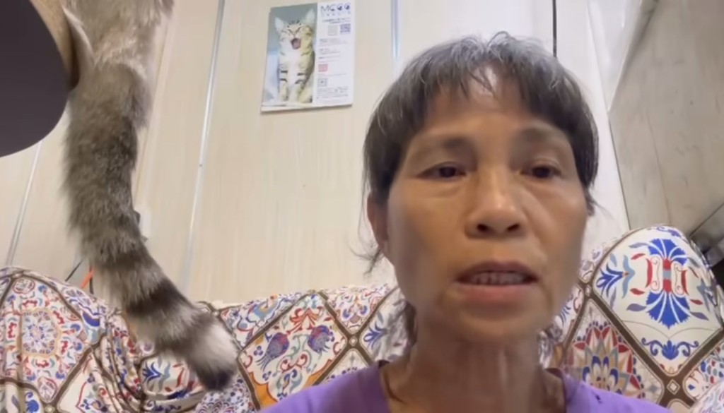 沙律媽昨晚(27/6)10時許在面書發布視頻告急,救救資金短缺的沙律貓狗之家。 沙律媽昨晚(27/6)10時許在面書發布視頻告急,救救資金短缺的沙律貓狗之家。