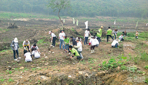 稻田荒廢三十年，改土需時，林筱魯認二澳出產的米未必最好食，但肯定最有感情。