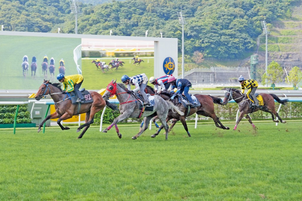 不少香港現役賽駒在從化馬場進行訓練。 不少香港現役賽駒在從化馬場進行訓練。
