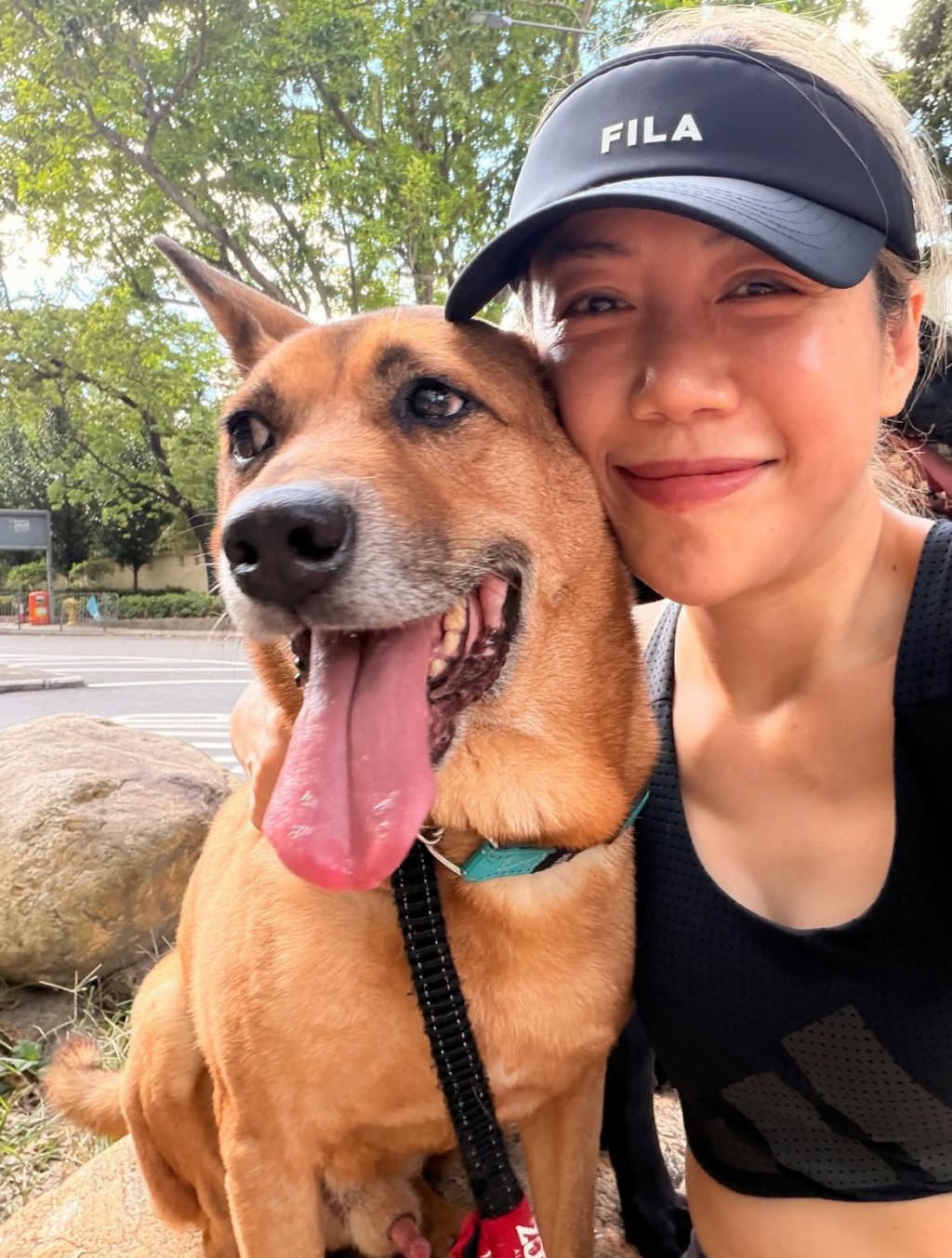恭喜彭秀慧和蕭公子正式成為一家人！