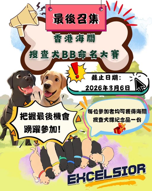 3月6日截止,把握機會啊! 3月6日截止,把握機會啊!