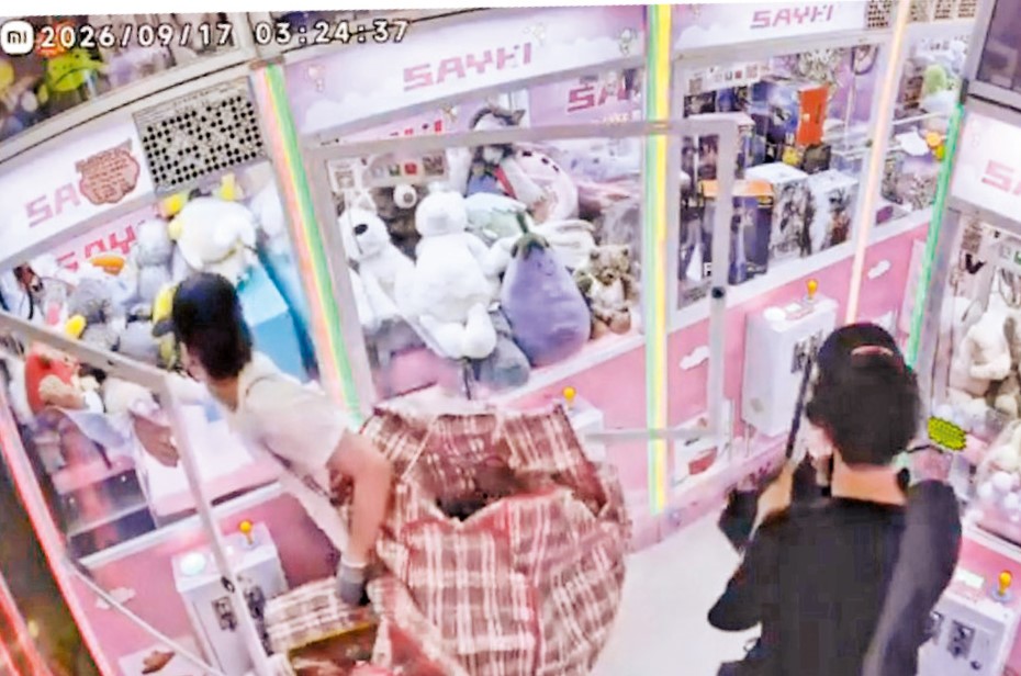上月底，兩名賊人夜闖大圍夾公仔店，偷走近百隻公仔，包括人氣Jellycat公仔，涉案失物總值約七萬元。