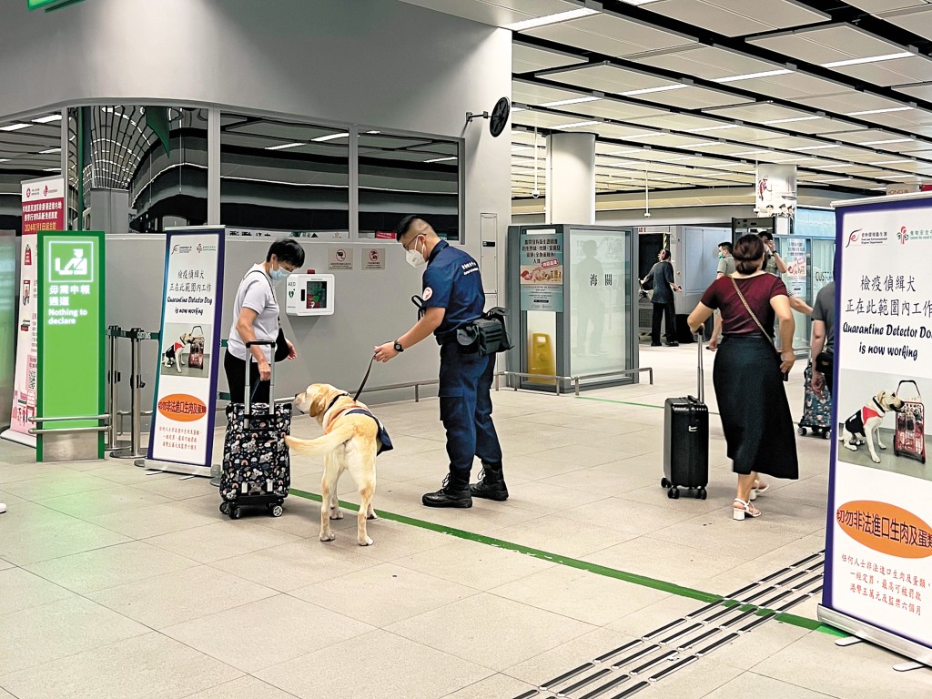 海關不時在邊境管制站進行打擊非法攜帶受規管食物入境行動，安排檢疫偵緝犬搜查入境旅客行李。