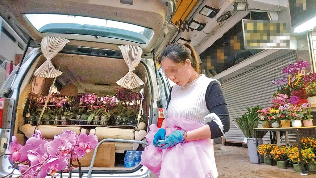 本刊記者採訪當日，在花墟見到一輛掛着中港牌私家車的車廂內，裝有不少蝴蝶蘭，並有花店員工上前取貨。