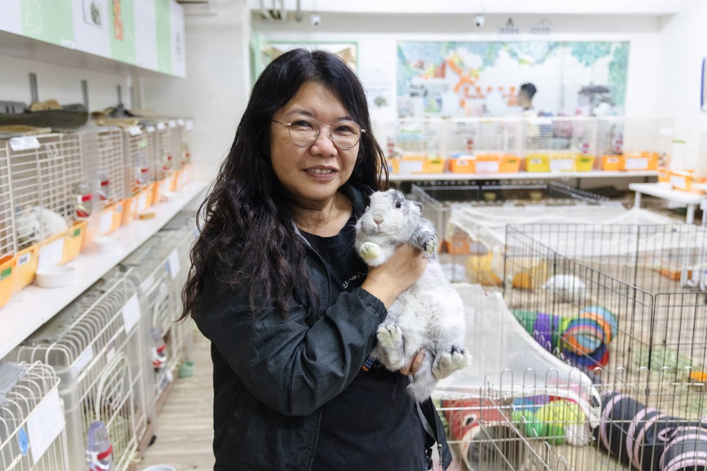 香港兔友協會負責人Shirley抱着Bamboo，她表示兔子被棄獲救之後特別喜愛讓人抱。