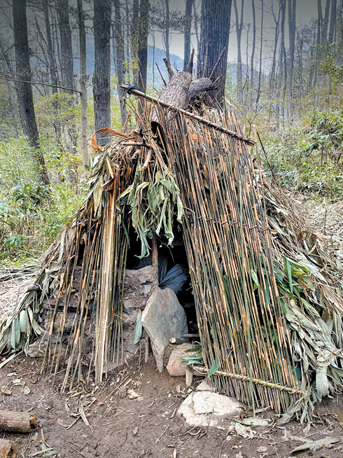 部分參賽者用樹枝及乾草搭棚作居所。