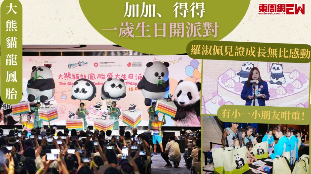 大熊貓龍鳳胎｜加加、得得一歲生日開派對 羅淑佩見證成長無比感動﹕有小一小朋友咁重！