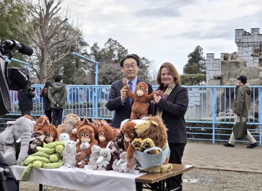 日本IKEA特別給動物園送上大批動物公仔,Punch君不怕玩爛或玩污糟了。(左:市川市長,右:日本IKEA社長) 日本IKEA特別給動物園送上大批動物公仔,Punch君不怕玩爛或玩污糟了。(左:市川市長,右:日本IKEA社長)