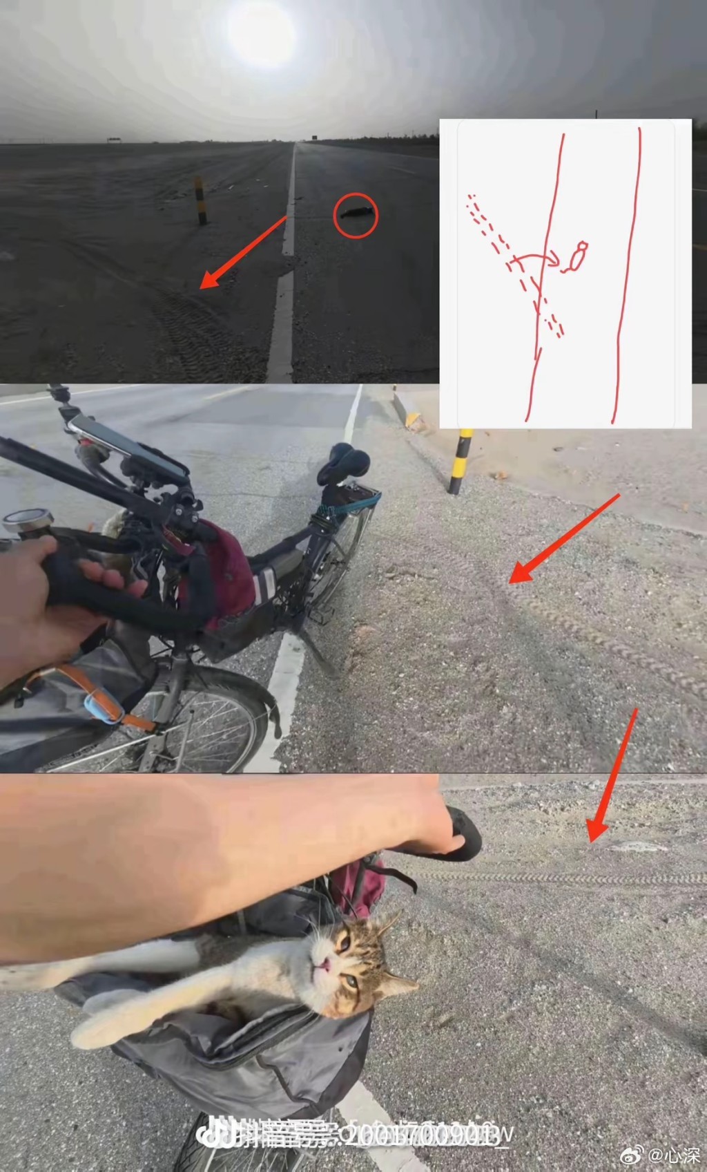 悟空在失蹤數小時間被發現在兩公里外的公路。